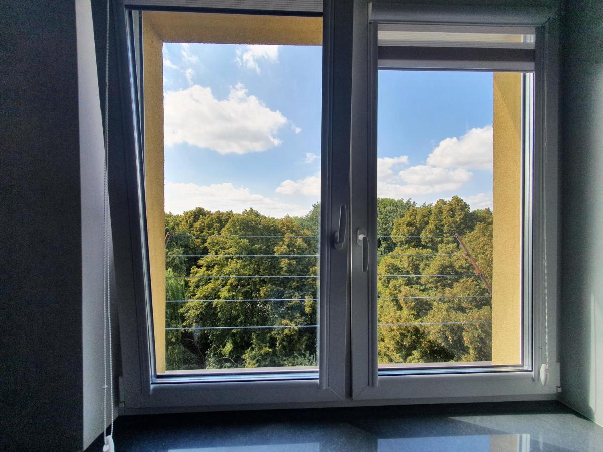 Forest House * Debica (Podkarpackie)